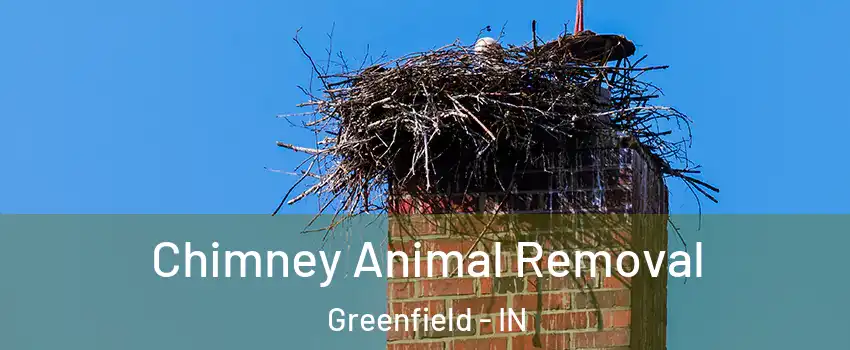  Chimney Animal Removal Greenfield - IN