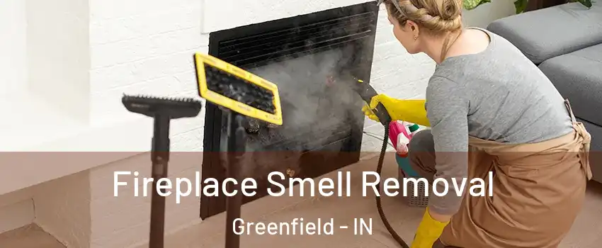  Fireplace Smell Removal Greenfield - IN