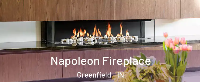  Napoleon Fireplace Greenfield - IN